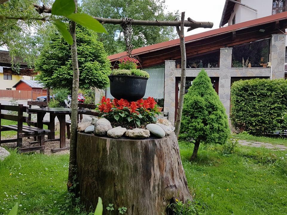Pensiunea Liziera Buşteni 外观 照片